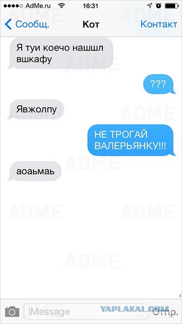 Если бы они могли писать смс