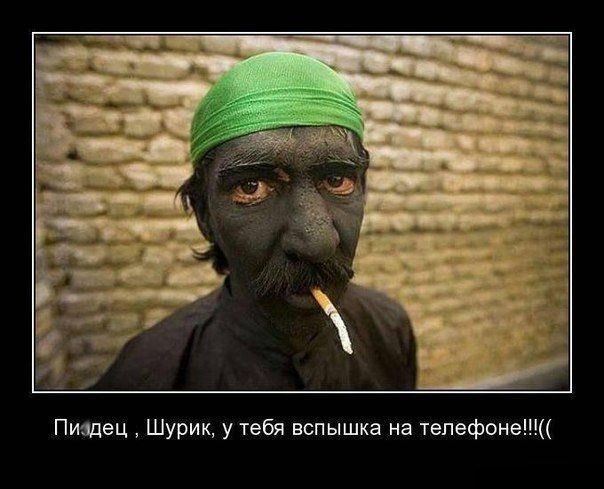 150 картинки для поднятия настроения!