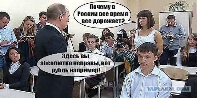 Про бензин. Весёлая мноходовочка