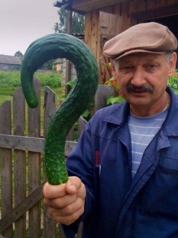 20 снимков «с запахами», которые можно почувствовать сквозь монитор