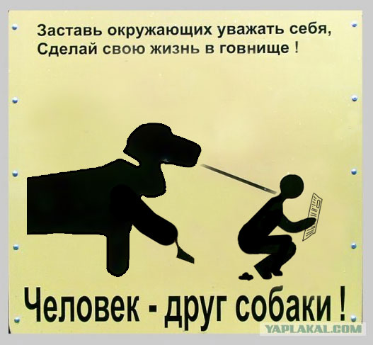 Фотожаба: Собака друг человека