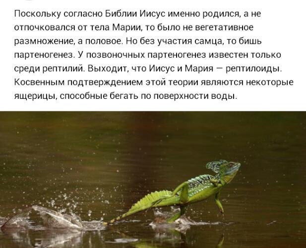 Рождества вам в дом