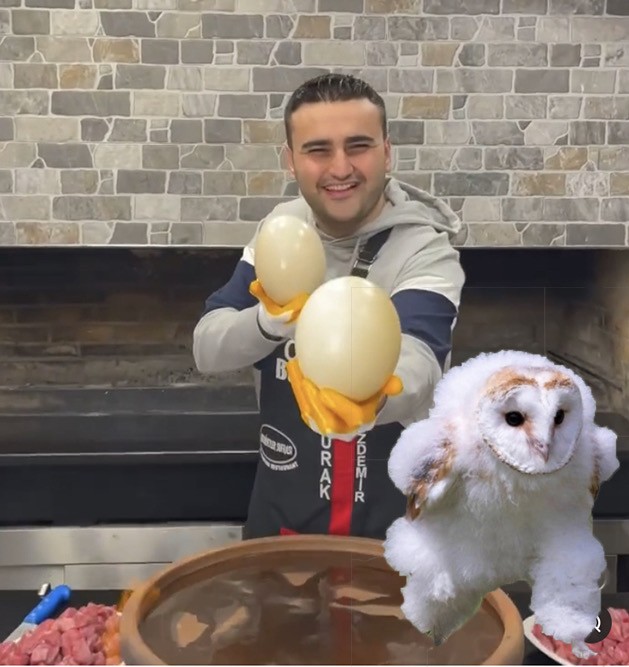 Динамо бежит? Все бегут.