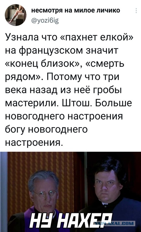 Весёлый полтишок 24.12
