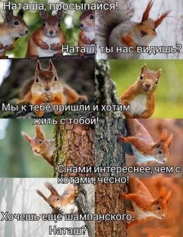 Картинки и мемы, всем отличных выходных