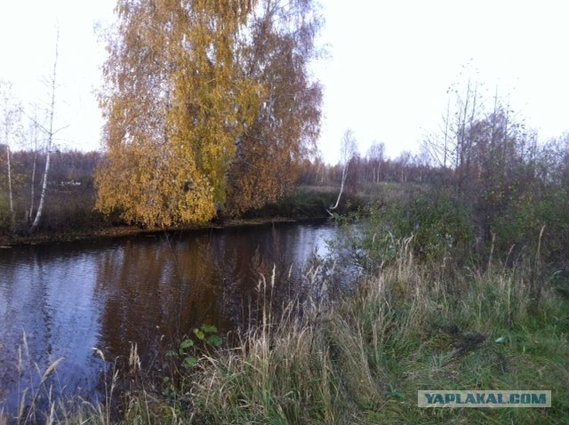 Открытая вода