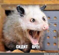 Пост, памяти ХенкМуди