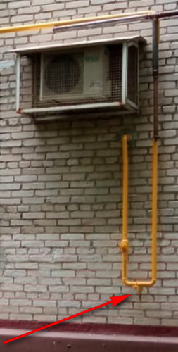 Про любовь к котикам