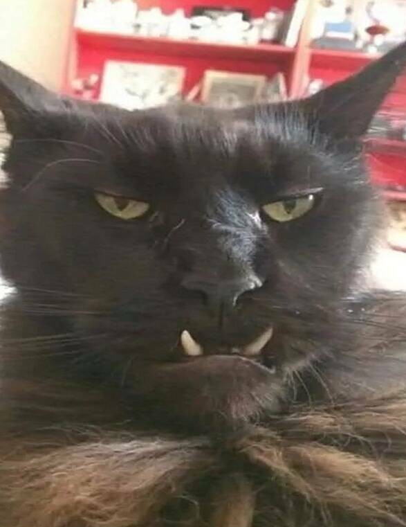 Подборка интересных и прикольных фото из Сети 01.04.23