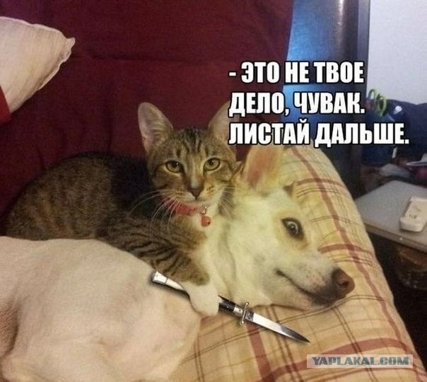 А у меня назрела пара вопросиков к производителям фольги