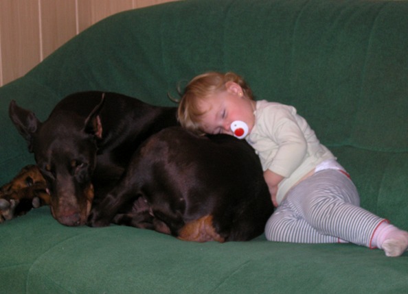 Няшность и ...