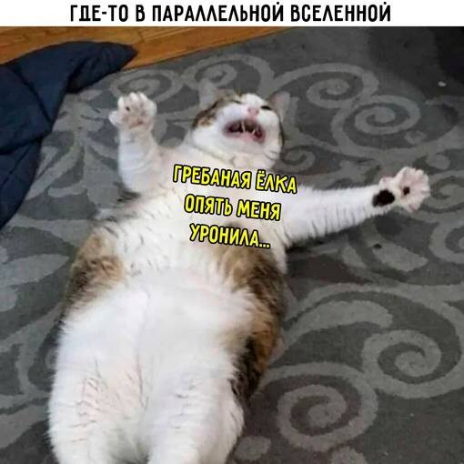 Всего понемногу. От 08.12.23