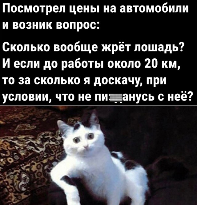 Котокартинки