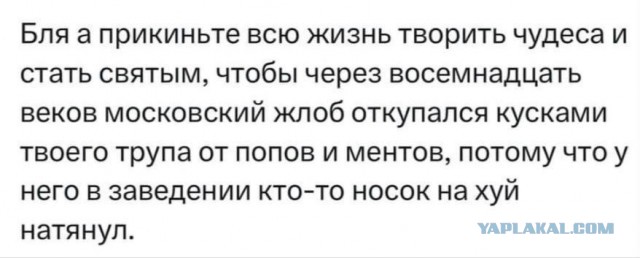 Всего понемногу. От 17.01.24