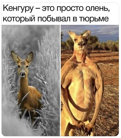 Католики демотиватор. Мед термин толерантность. Толерантность карикатура. Толерантность прикол. Толерантность.