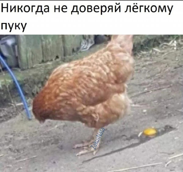Ура! Дождались! Понедельник!