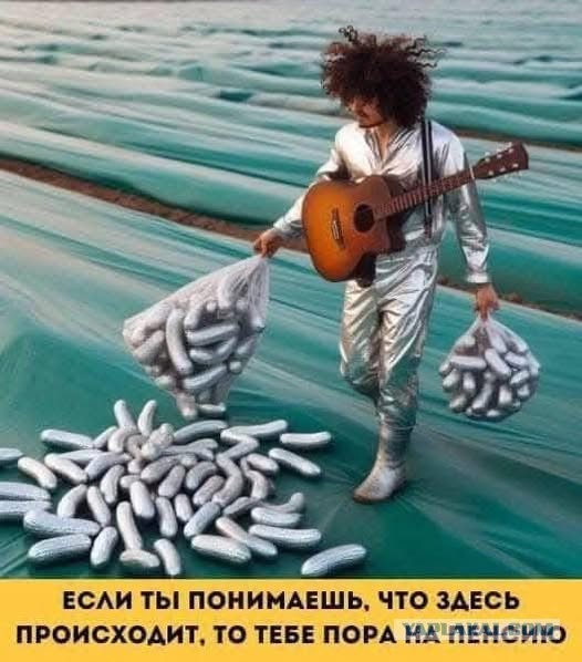Весёлые картинки