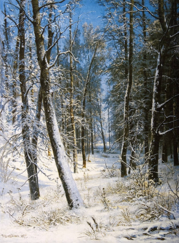 Шишкин первого января
