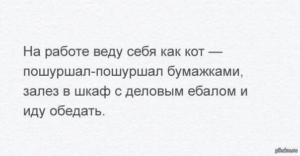 Веселое настроение в картинках 27.07.25
