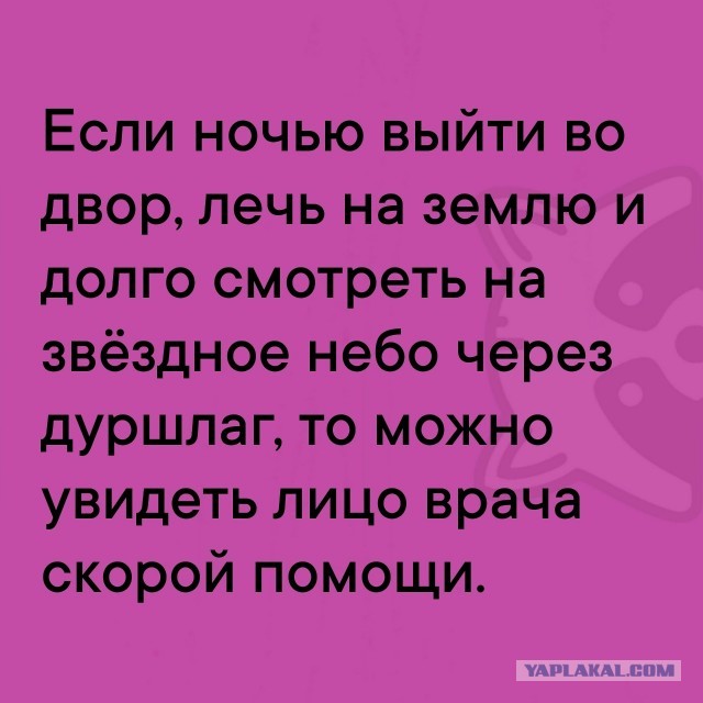 Так себе картинки 19.11.25