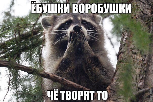 Всякой Хни вам в ленту, дорогие деграданты