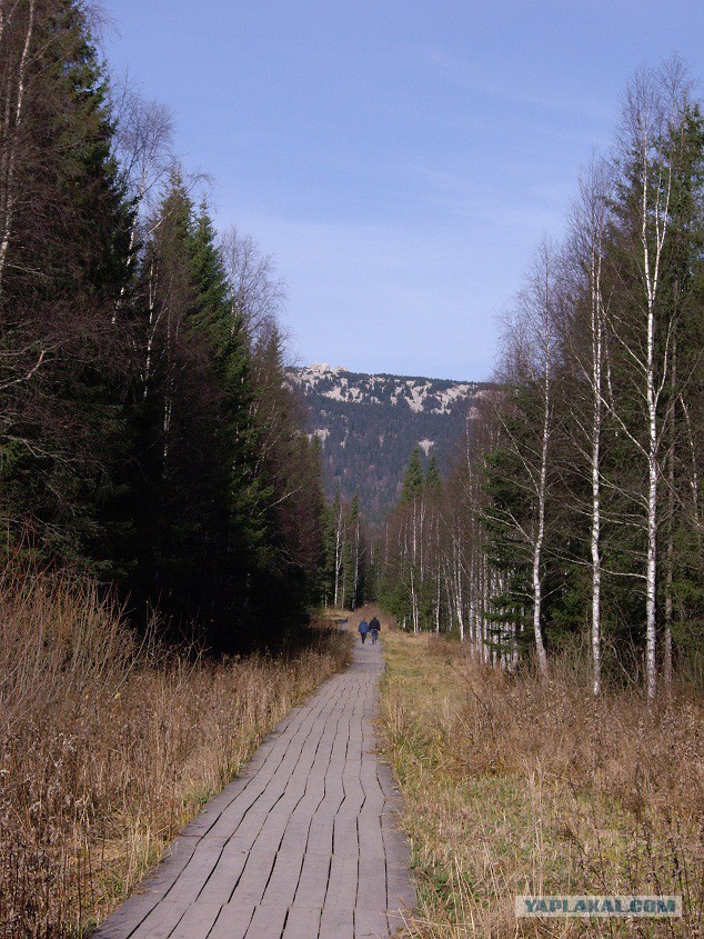 Деревенская Америка