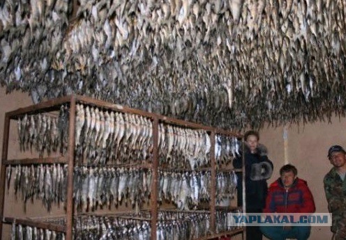 Карпаччо из куриной грудки