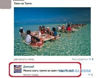 Смешные комментарии из социальных сетей #2