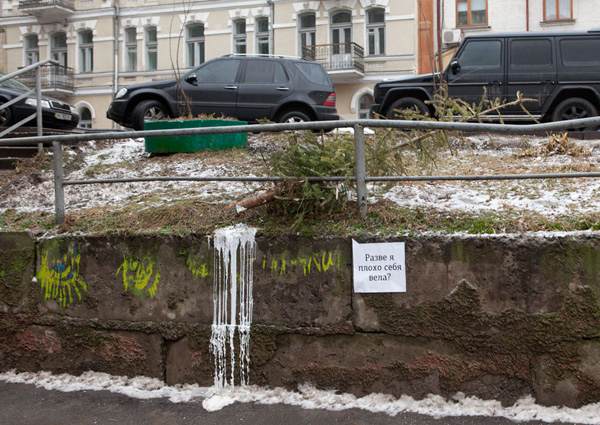 "Говорящие" ёлки