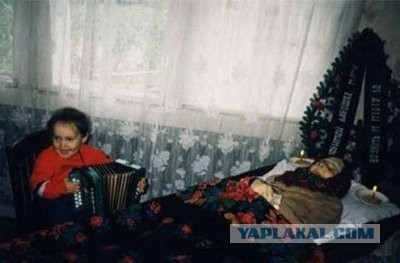 Смешные картинки и комментарии