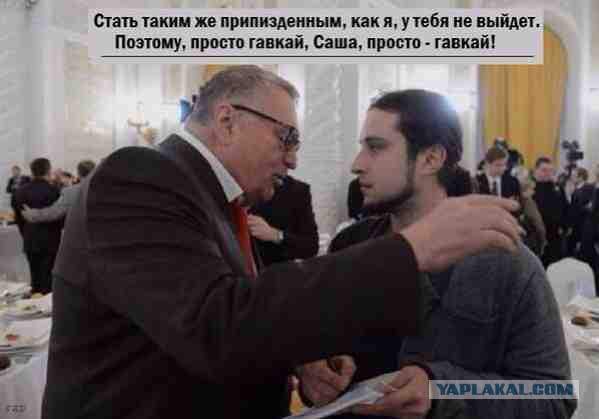 Сотрудник Lifenews гавкает на украинских коллег