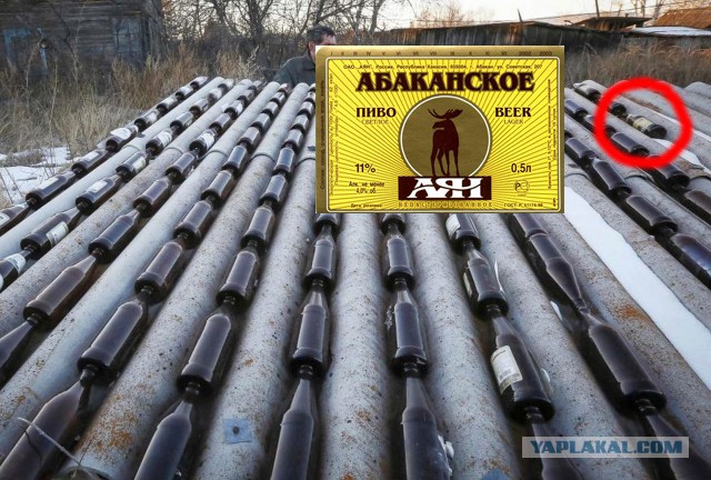Последний житель сибирского посёлка Зеленоборск