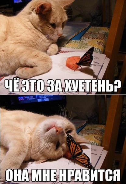 Картинки из сети