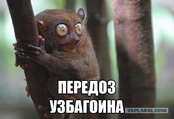 Маленькая хитрость: если пиво не хочет открываться