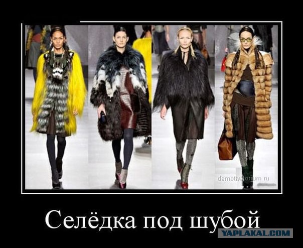 Немного картинок