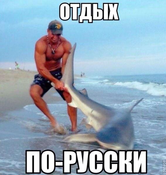 Приколы из сети