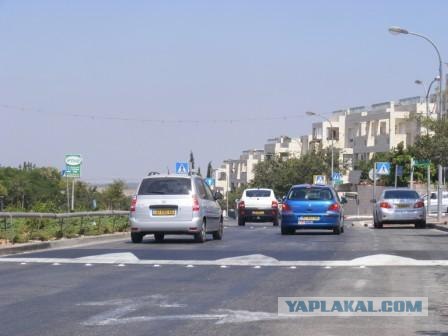 Они защитили свой двор!