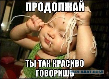 Депутаты проснулись?