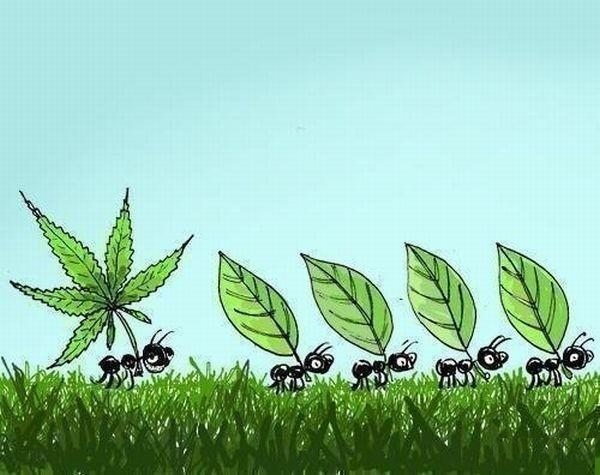 Абсурдный юмор ч.3