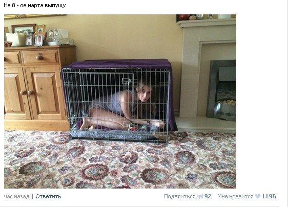 Ужасы и приколы из соцсетей 18+