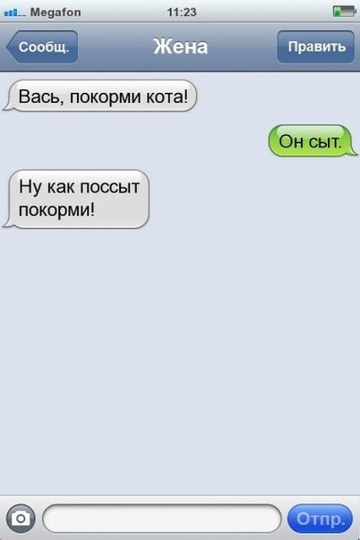 Прикольная фотоподборка