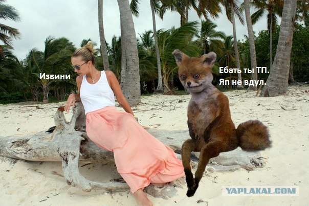ТП в эфире Динамит ФМ