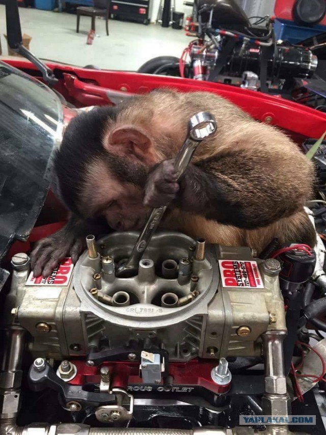 Подборка интересных и веселых фото