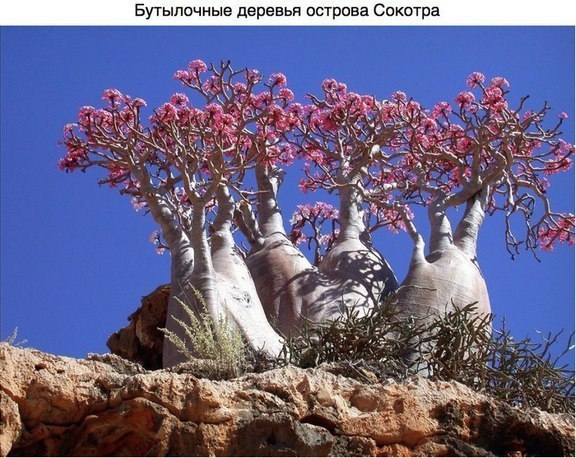 Интересные и веселые картинки