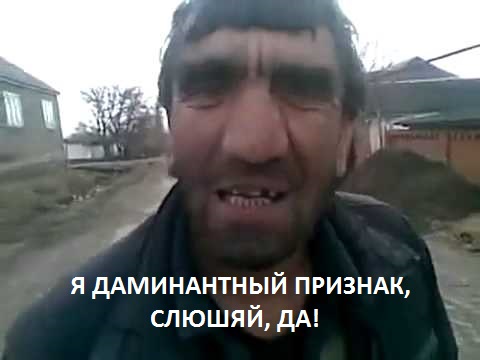 У всех голубоглазых людей есть один общий секрет