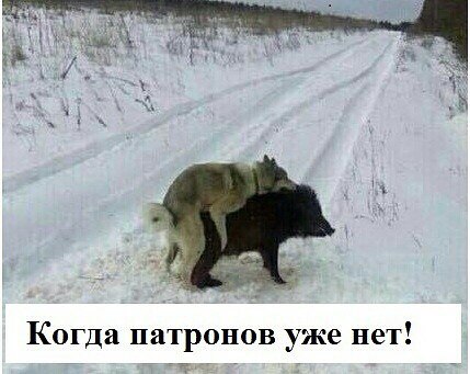 Подборка картинок