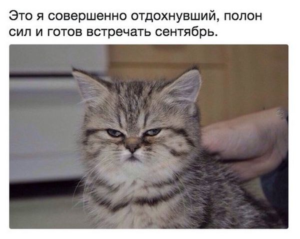 144 картинки для поднятия настроения!