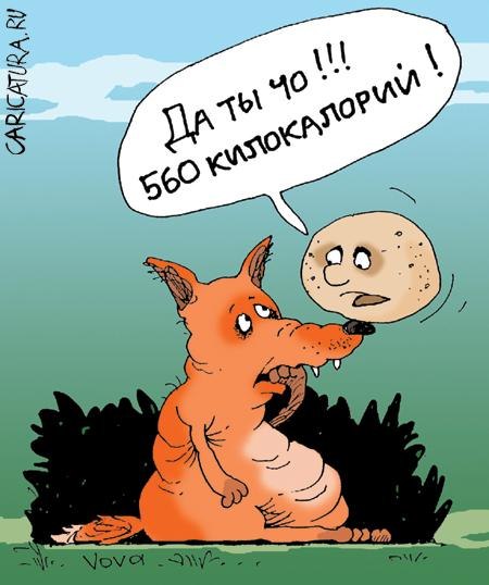 Что происходит с хлебом в воде за 16 дней