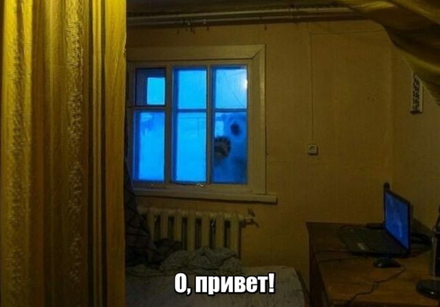 Подборка интересных и веселых картинок
