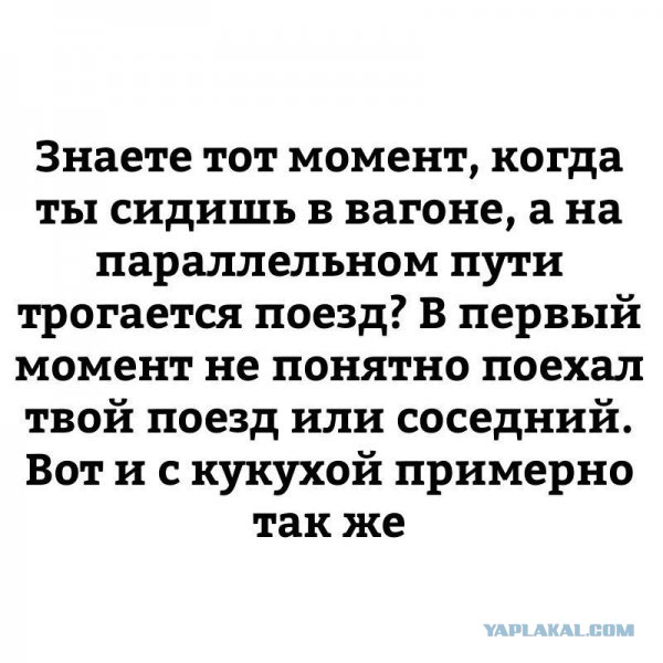 Креативных советов пост